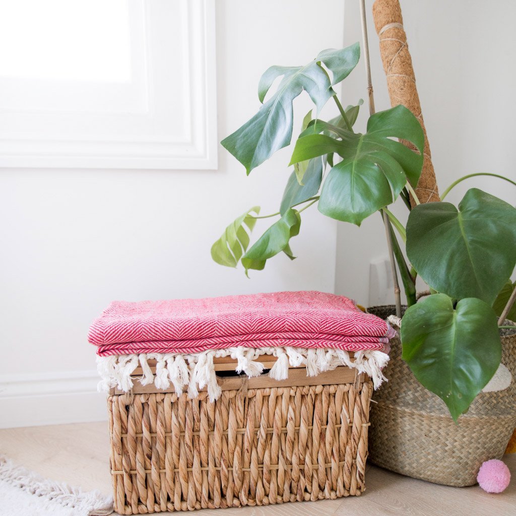 Trocadero Navy & Red - HAMAMINGO